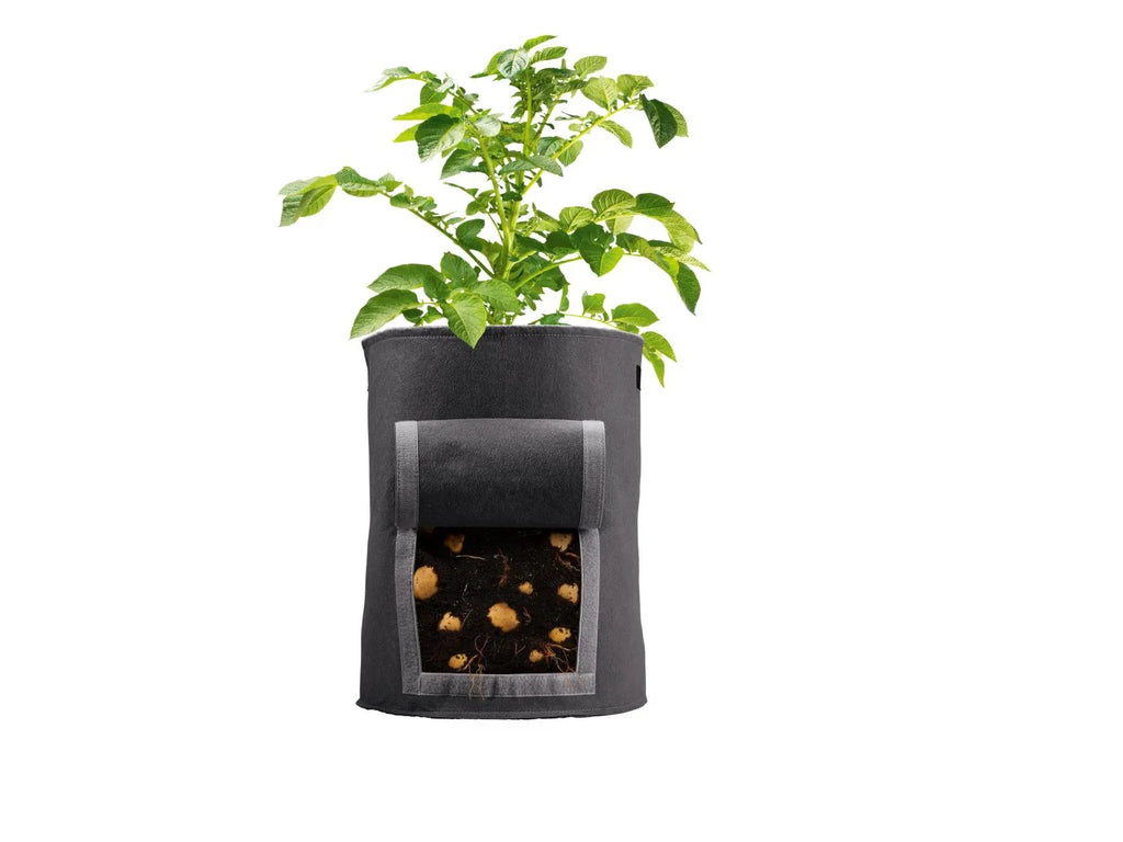 PARKSIDE Lot de 2 sacs de plantation