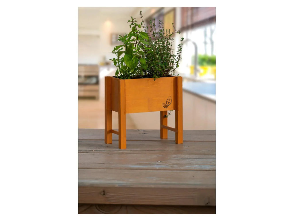 dobar Parterre surlev pour herbes, 24 x 14 x 24 cm