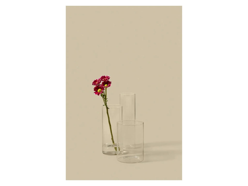 LIVARNO Set de 3 vases