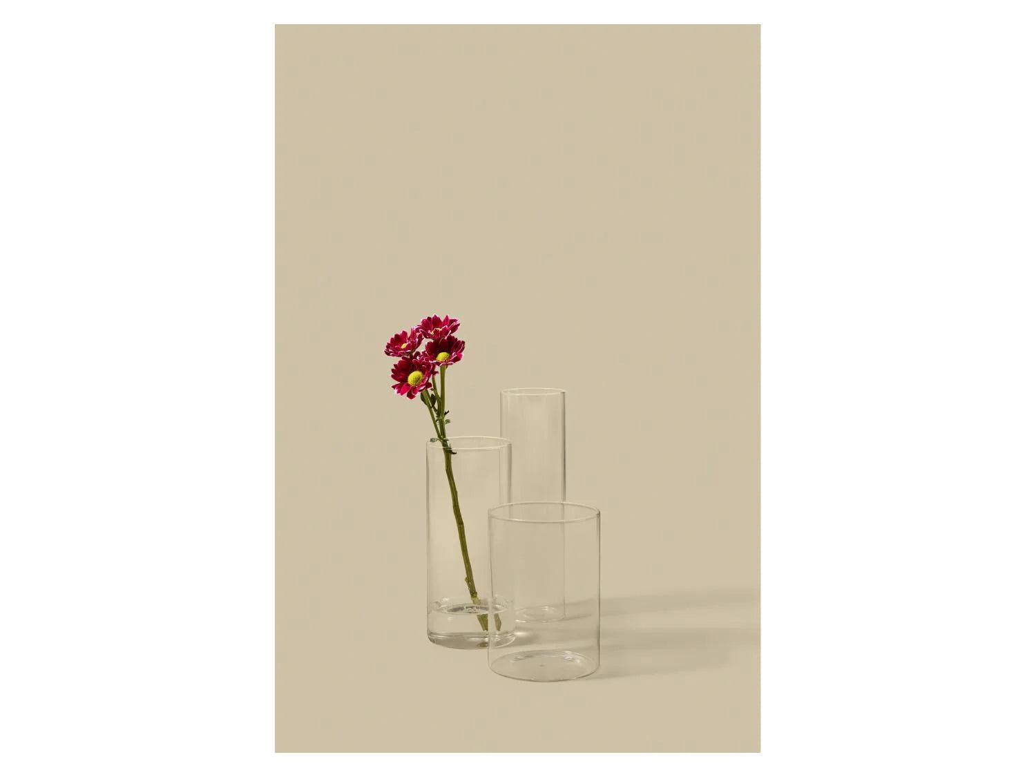 LIVARNO Set de 3 vases