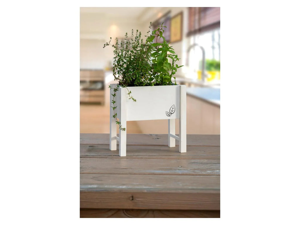 dobar Parterre surlev pour herbes, 24 x 14 x 24 cm
