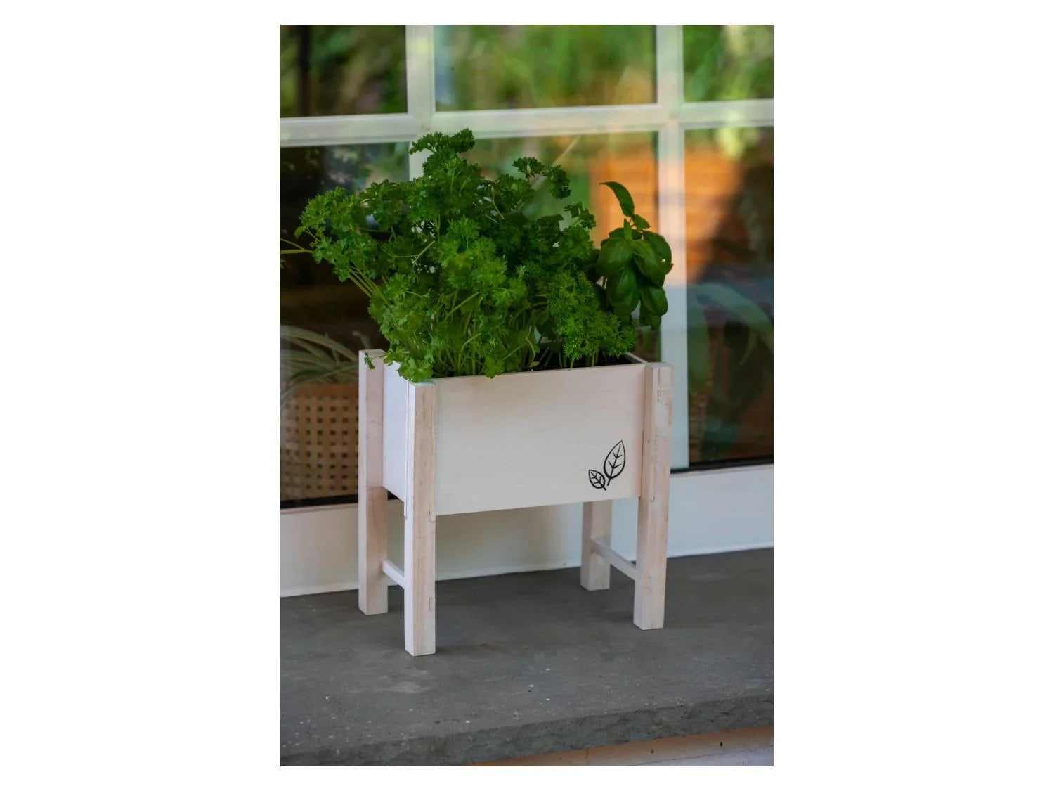 dobar Parterre surlev pour herbes, 24 x 14 x 24 cm