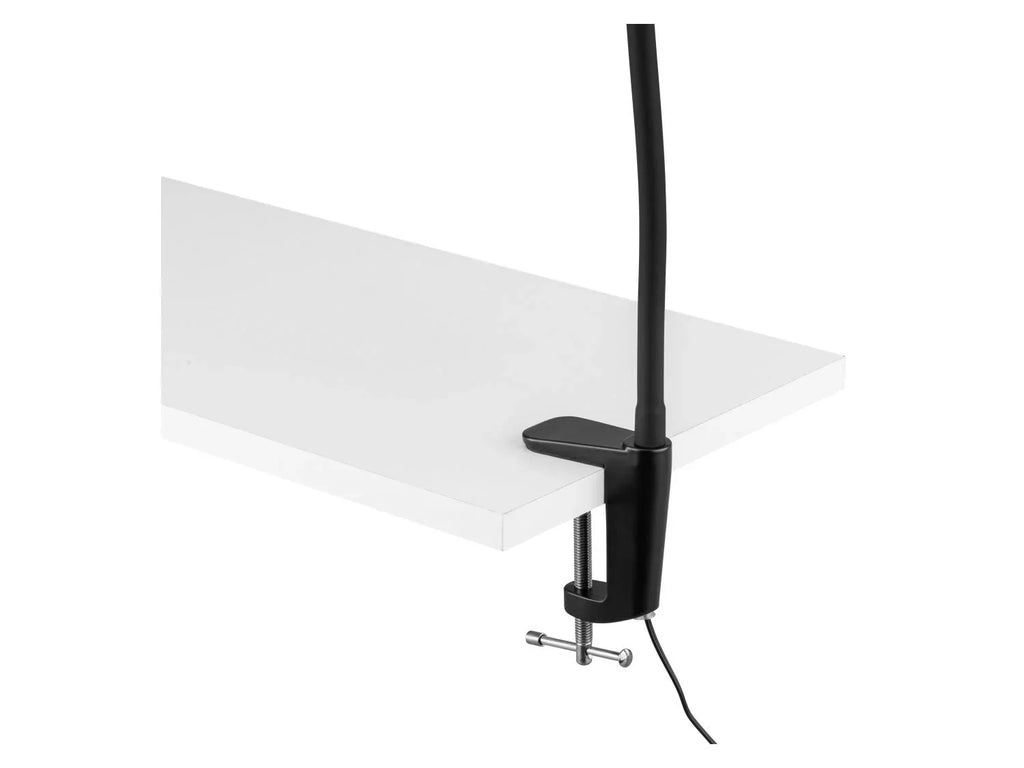LIVARNO home Lampe LED  pince