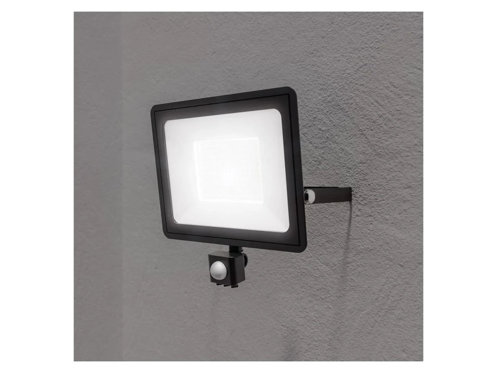 LIVARNO home Projecteur extrieur LED 100 W