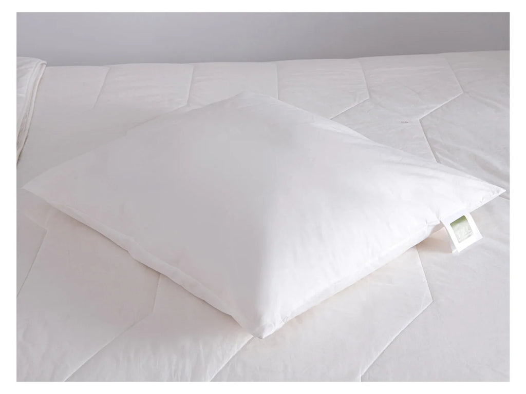 TXL Comfort Oreiller de luxe en laine, 60 x 60 cm