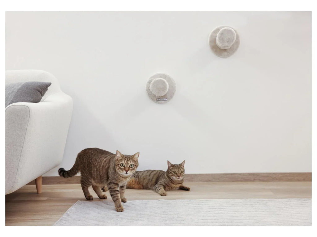 KERBL Mur d'escalade pour chat