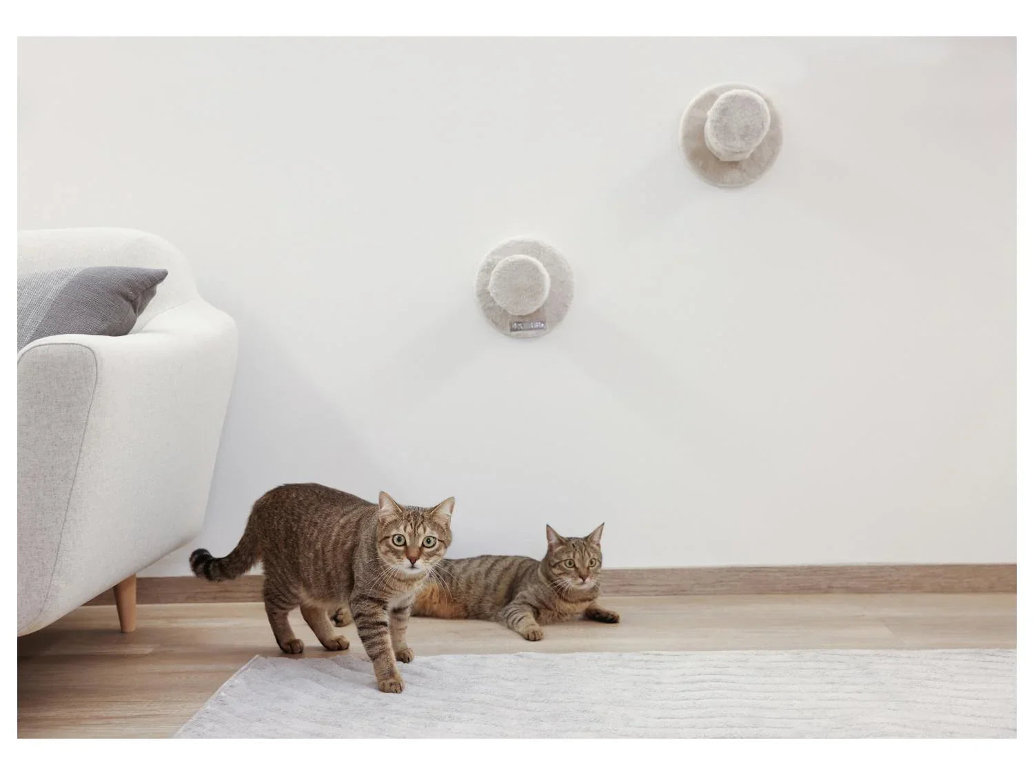 KERBL Mur d'escalade pour chat