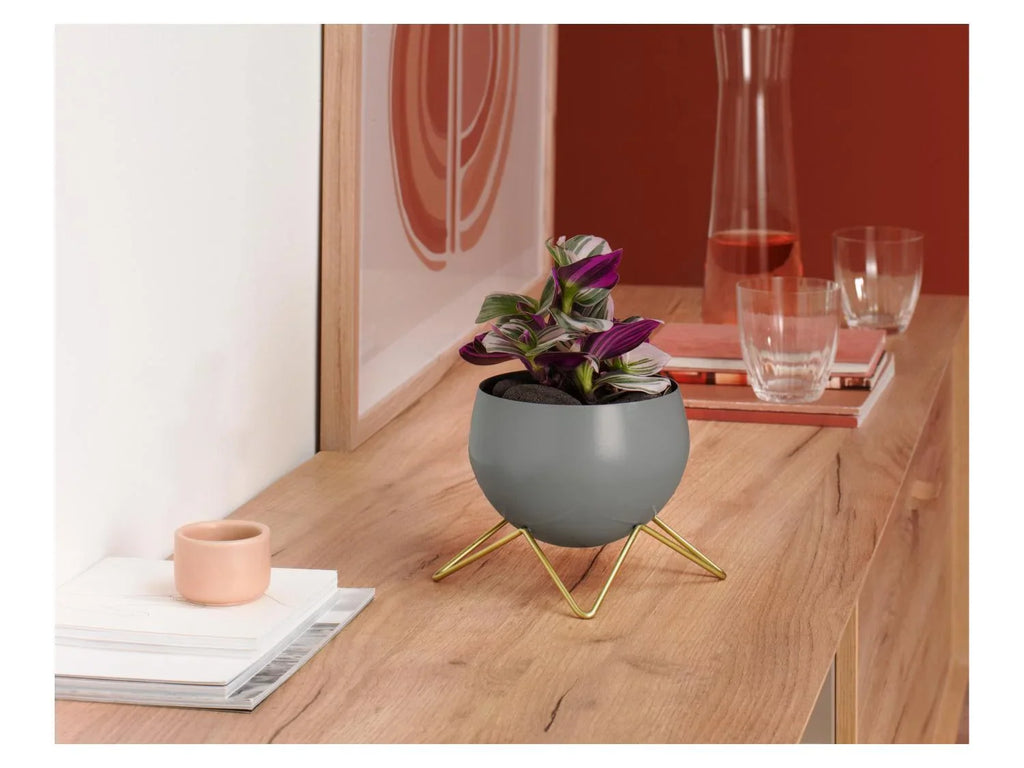LIVARNO home Pot(s) de fleurs dcoratif(s)