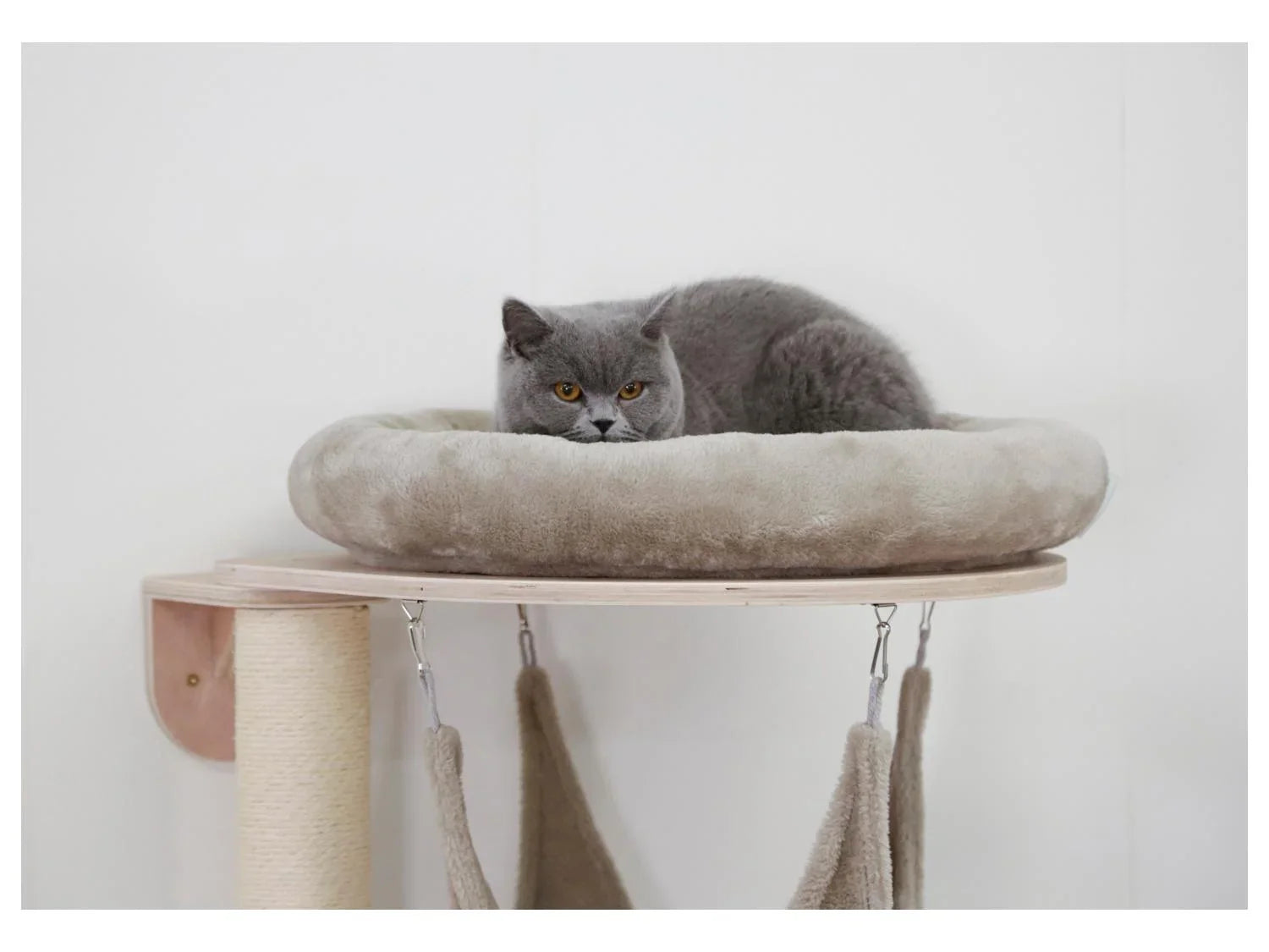 Kerbl Pet Arbre  chat mural Dolomit Grappa