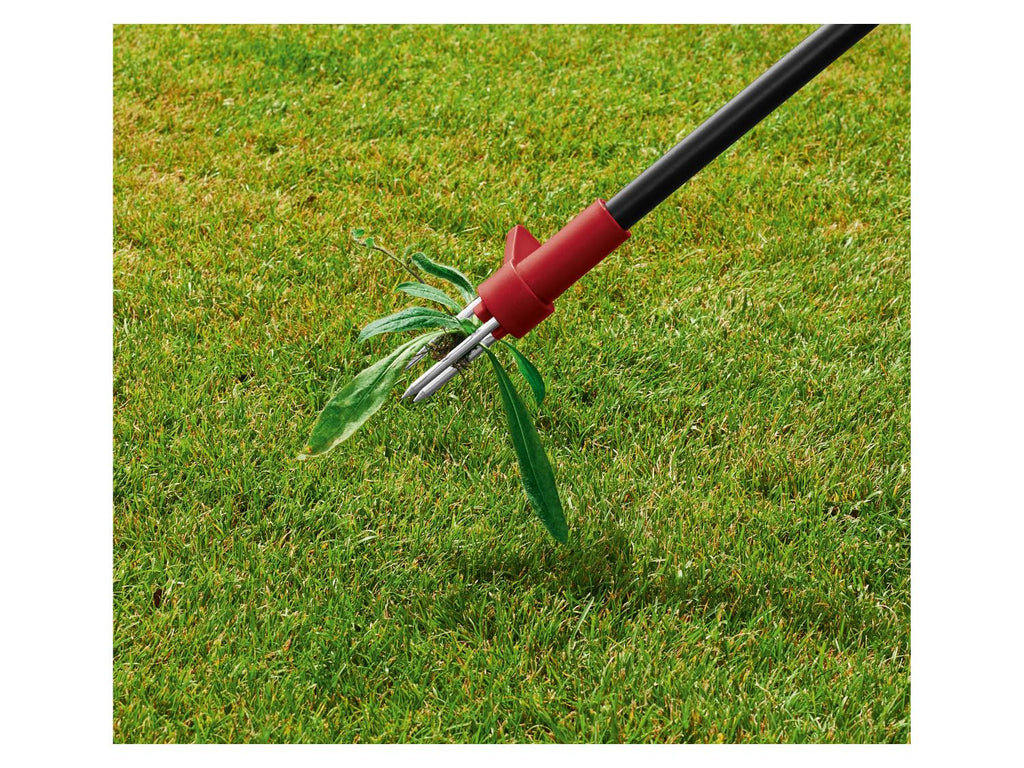 PARKSIDE Set de brosses  mauvaises herbes ou Dsherbeur  main