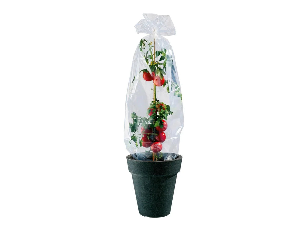 PARKSIDE Film pour serre de jardin