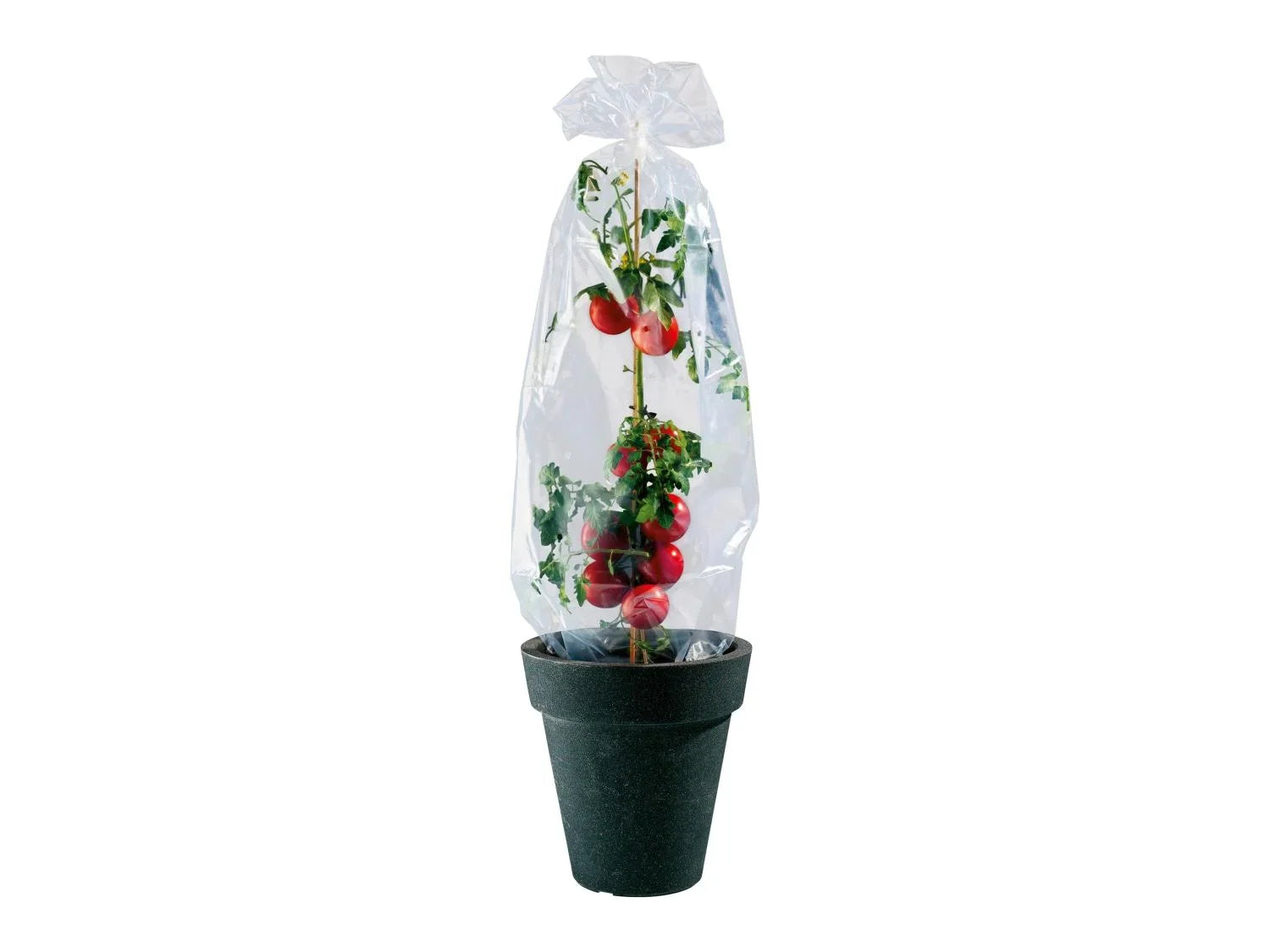 PARKSIDE Film pour serre de jardin