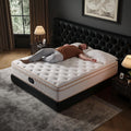 14 Inch Queen Hybrid Mattress, Cooling Gel Memory Foam & Zoned Pocket Coils, Pressure Relief, Motion Isolation, Breathable Bed in a Box, CertiPUR-US Certified