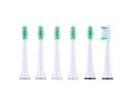 CIEN Beauty Lot de 6 Brossettes de rechange CBZKS 6 A1