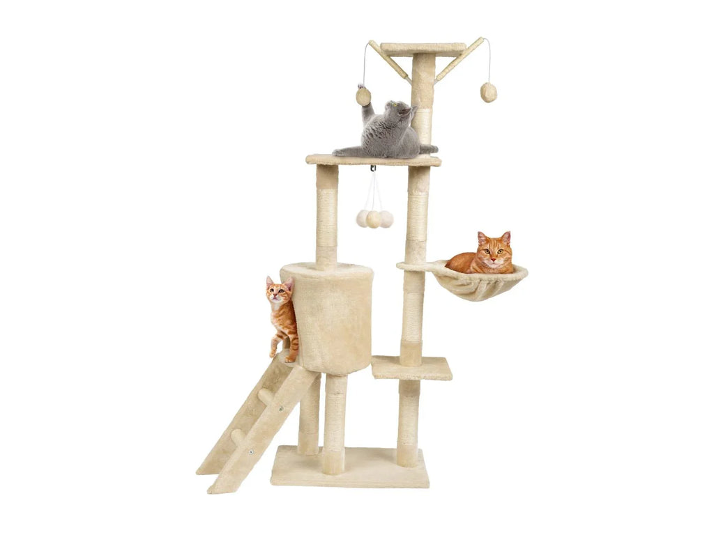 zoofari Arbre  chat, avec 5 niveaux