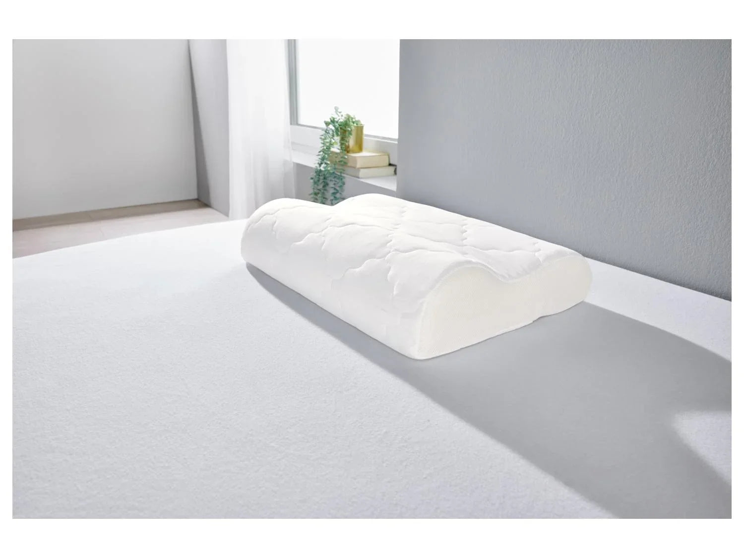 LIVARNO home Oreiller de soutien cervical Polygiene, 50 x 36 cm