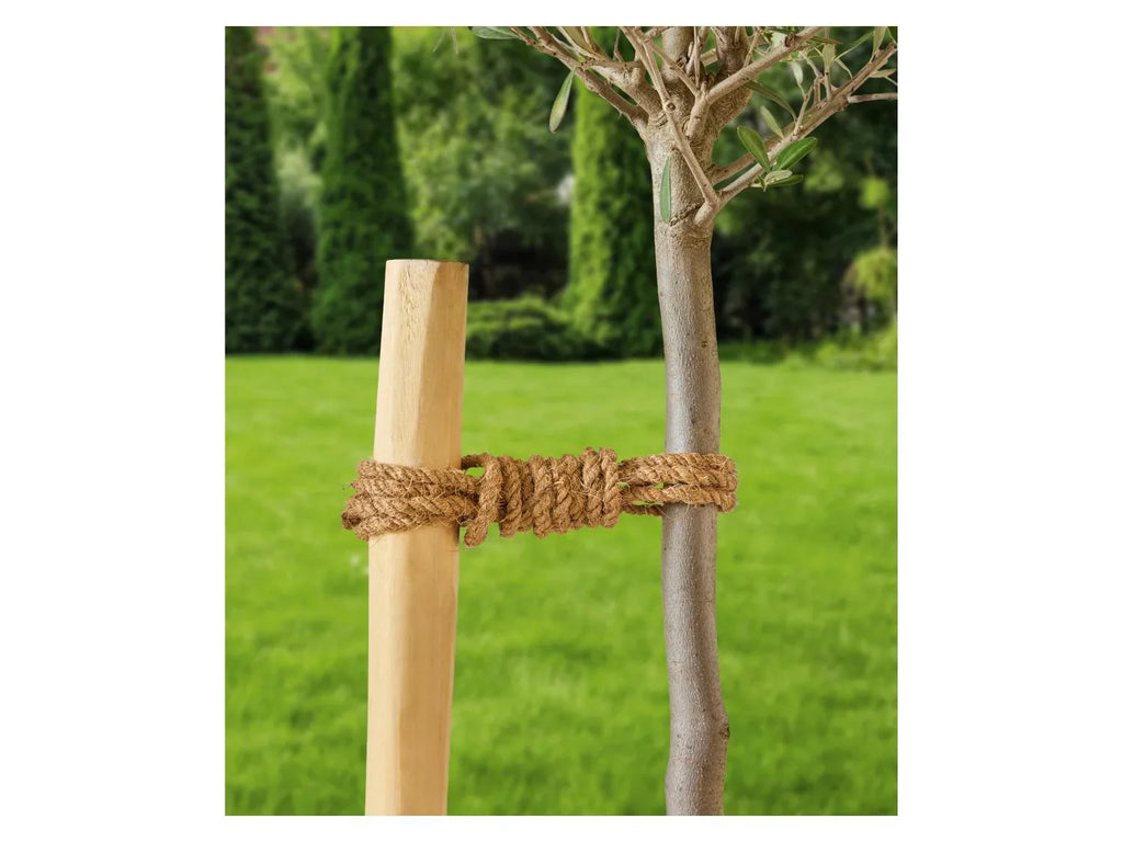PARKSIDE Corde en coco, 100 m