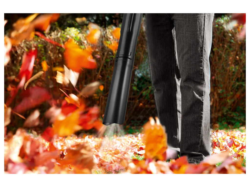 PARKSIDE Aspirateur et souffleur de feuilles thermique PBLS 26 A1