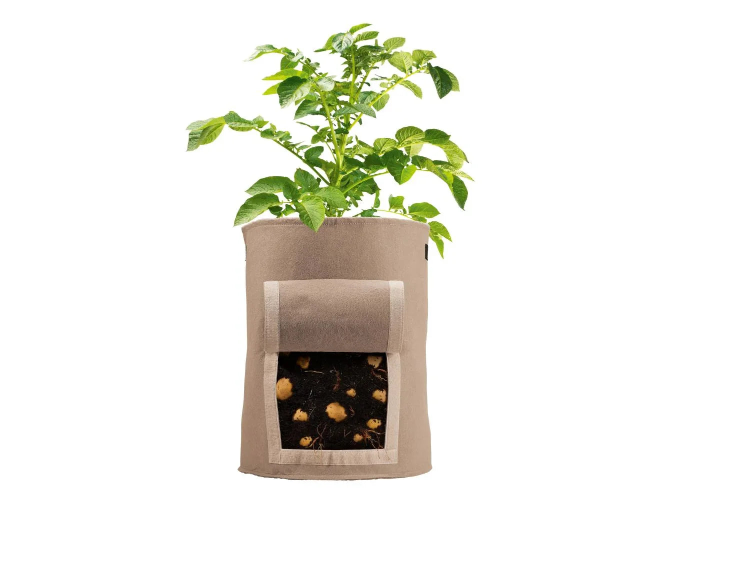 PARKSIDE Lot de 2 sacs de plantation