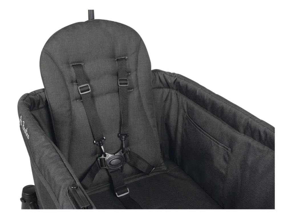 Pinolino Chariot enfant pliable Cruiser