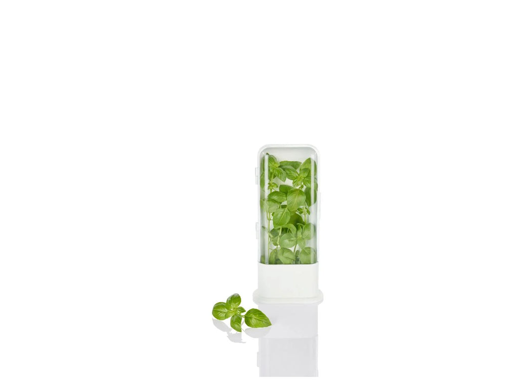 LIVARNO home Bote(s) fracheur pour herbes aromatiques