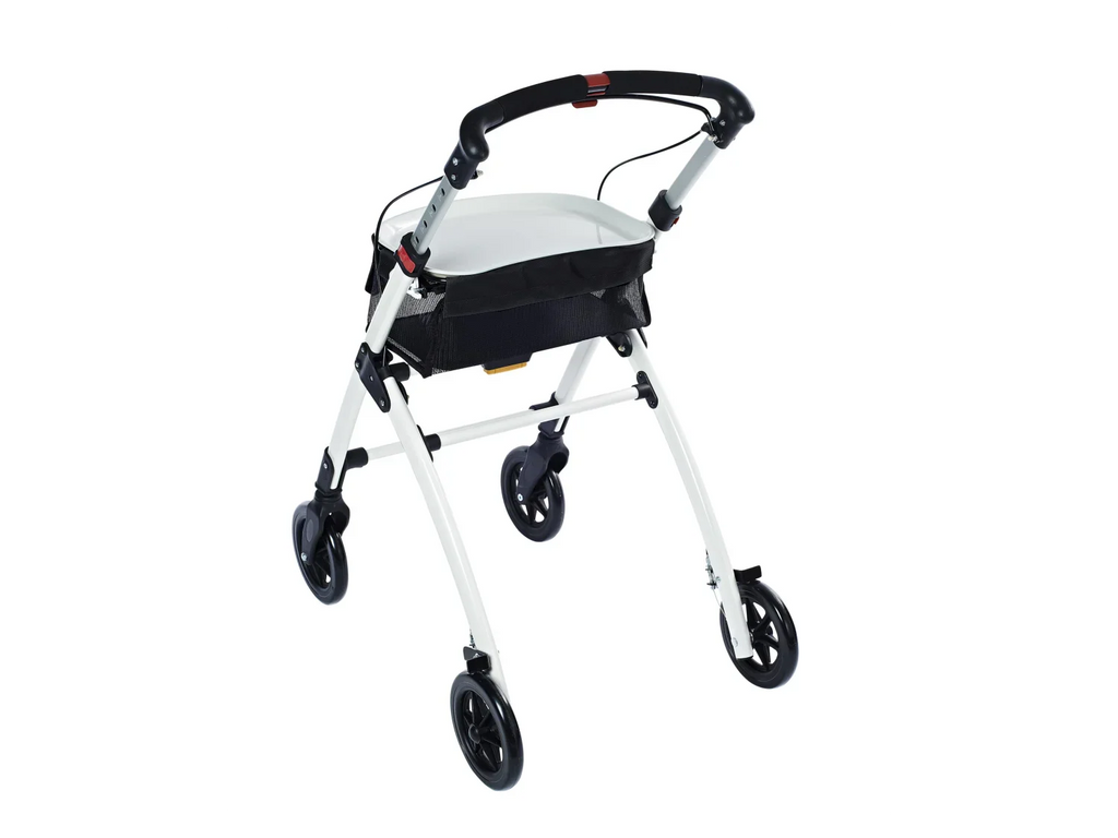 Ridder Dambulateur d'intrieur Pit