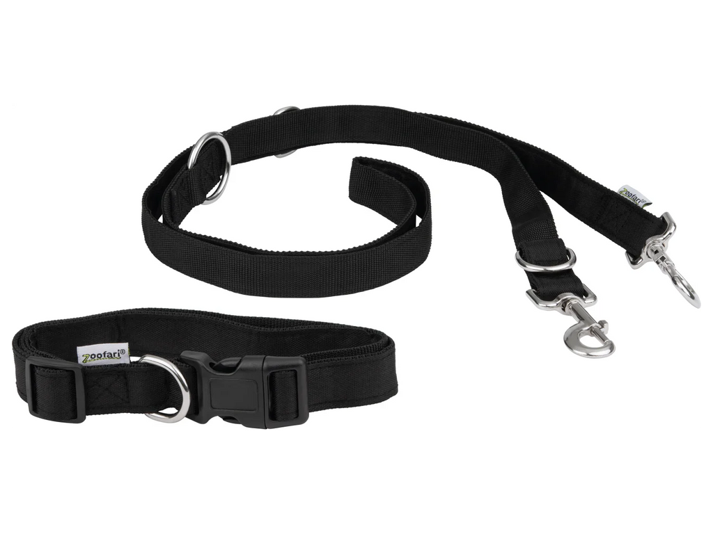 zoofari Collier pour chien avec laisse