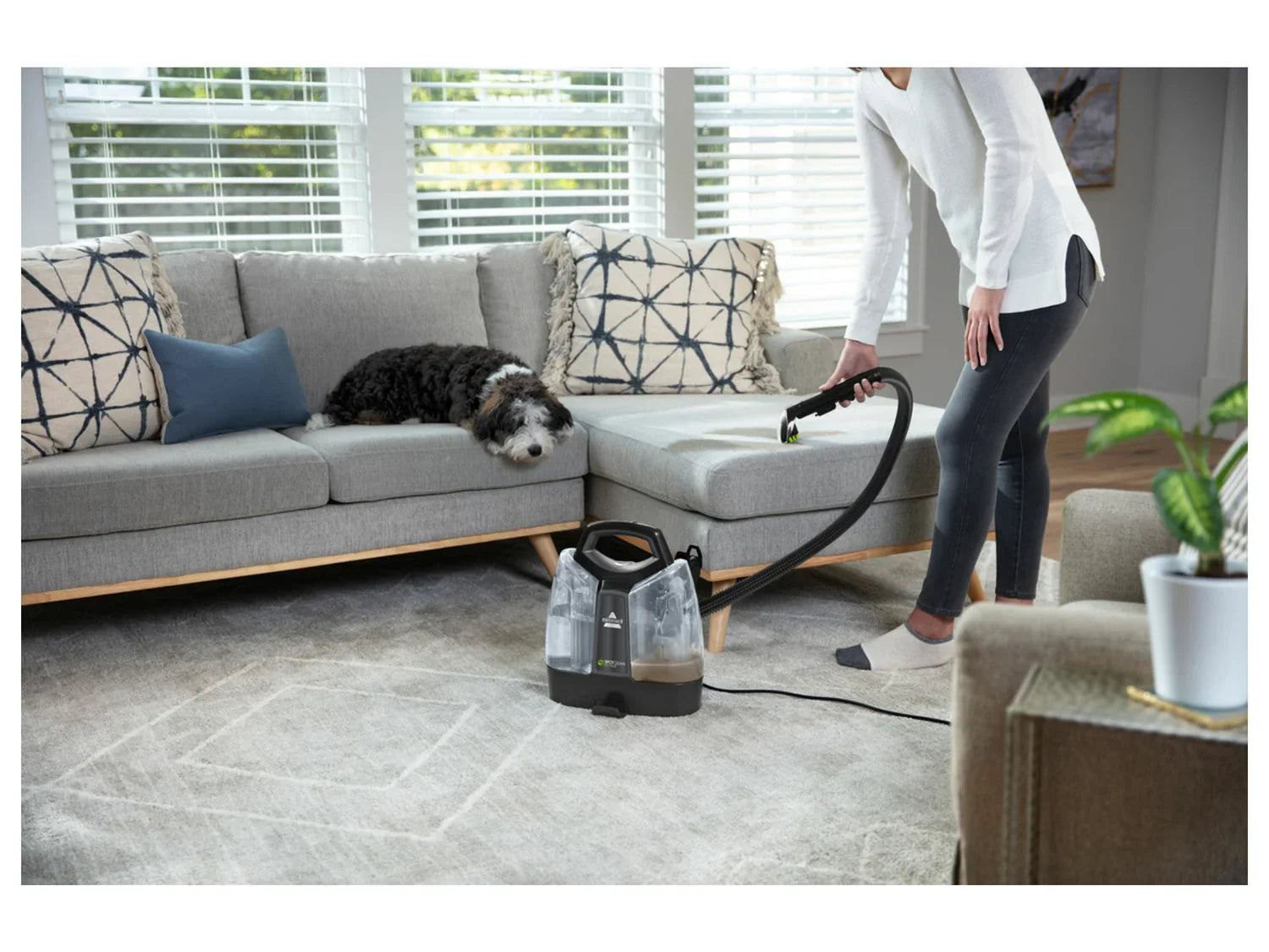 Bissell Nettoyeur de taches Spot Clean Pet Plus Black Titanium