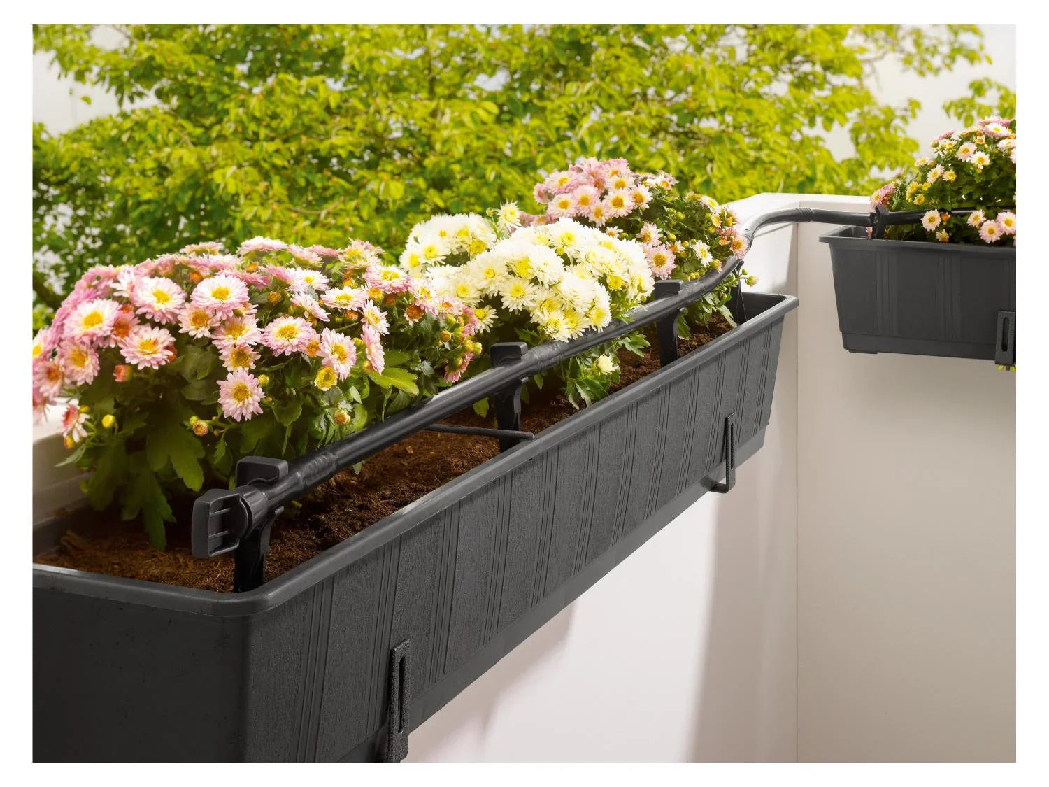 PARKSIDE Set d'arrosage goutte--goutte