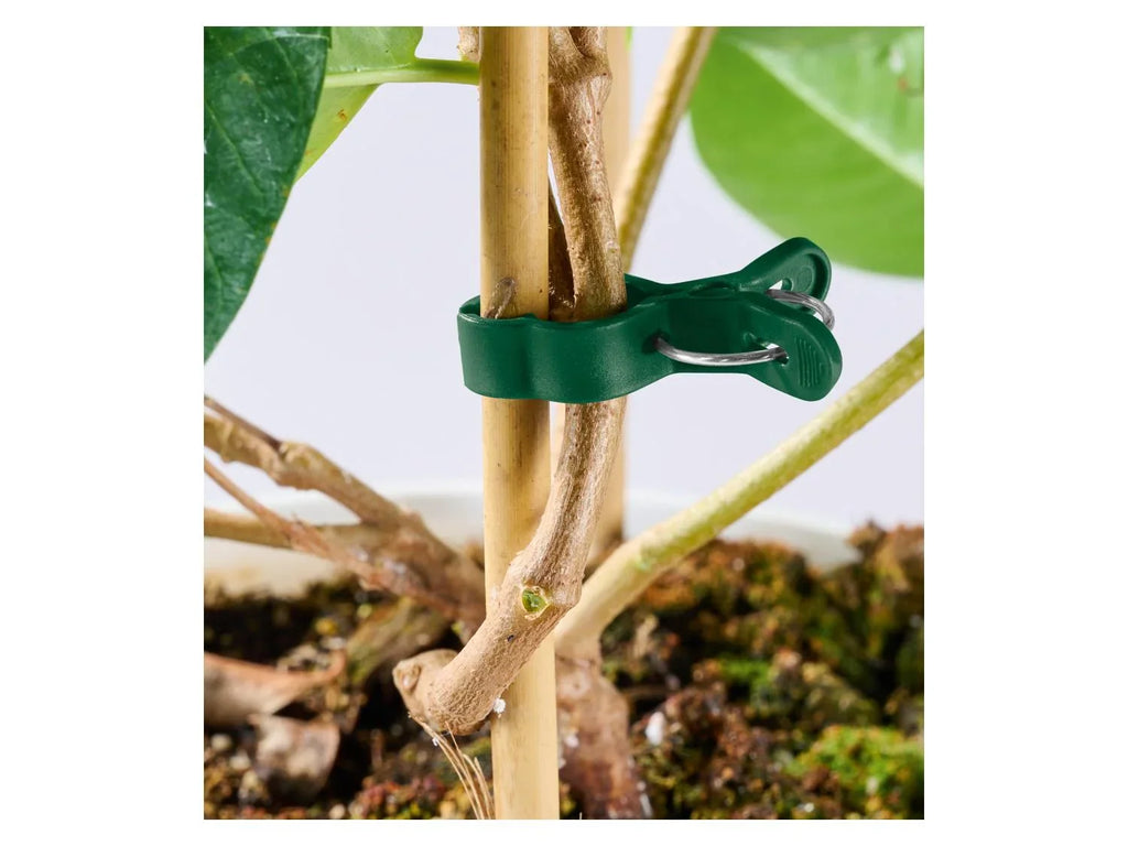 PARKSIDE Set de supports ou fils pour plantes
