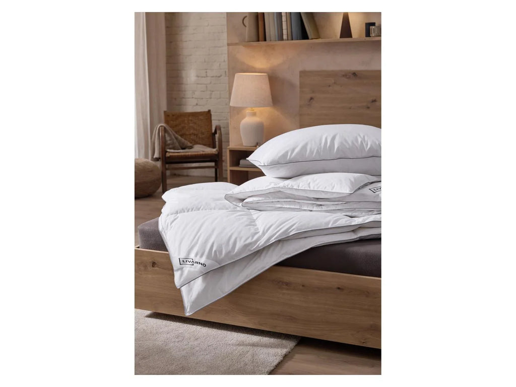 LIVARNO Couette en duvet Premium, 140 x 200 cm