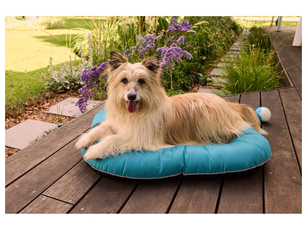 zoofari Panier dextrieur pour chien