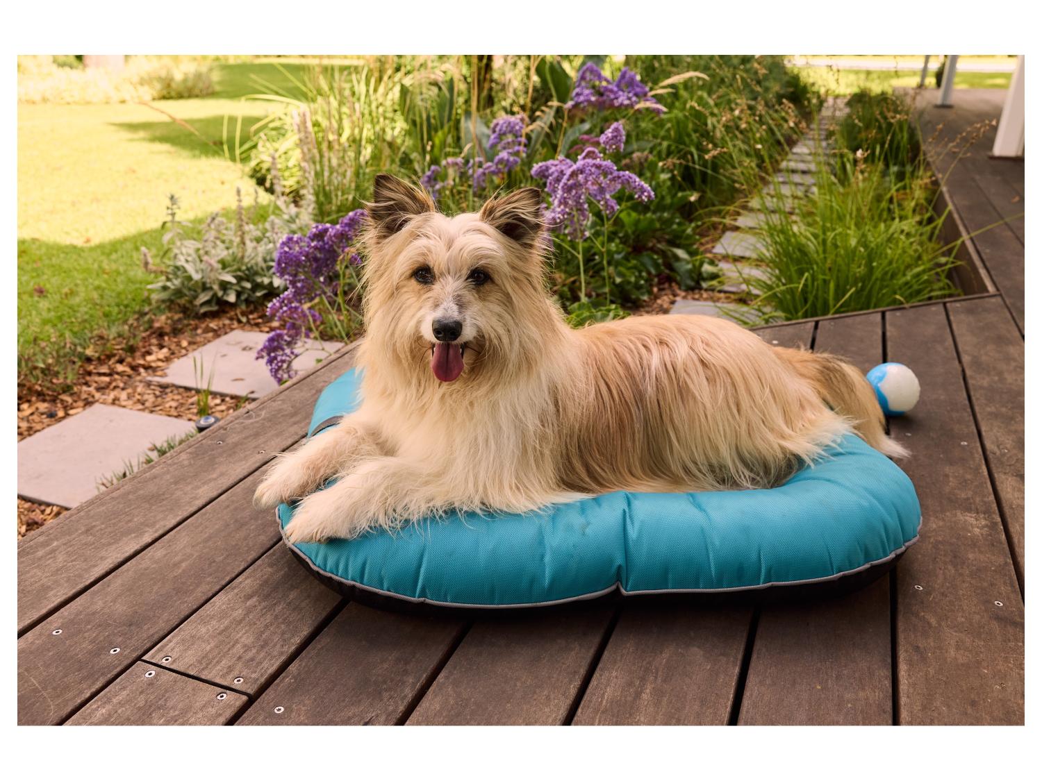 zoofari Panier dextrieur pour chien