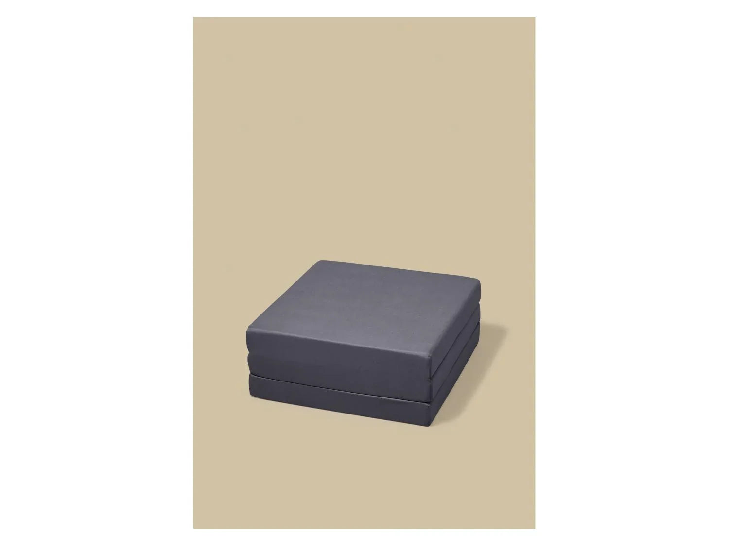 LIVARNO Matelas pliant 2-en-1, 190 x 65 cm