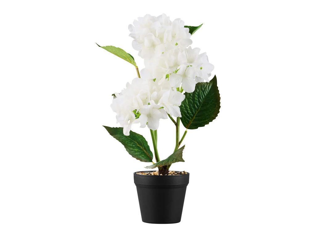 LIVARNO home Plante artificielle