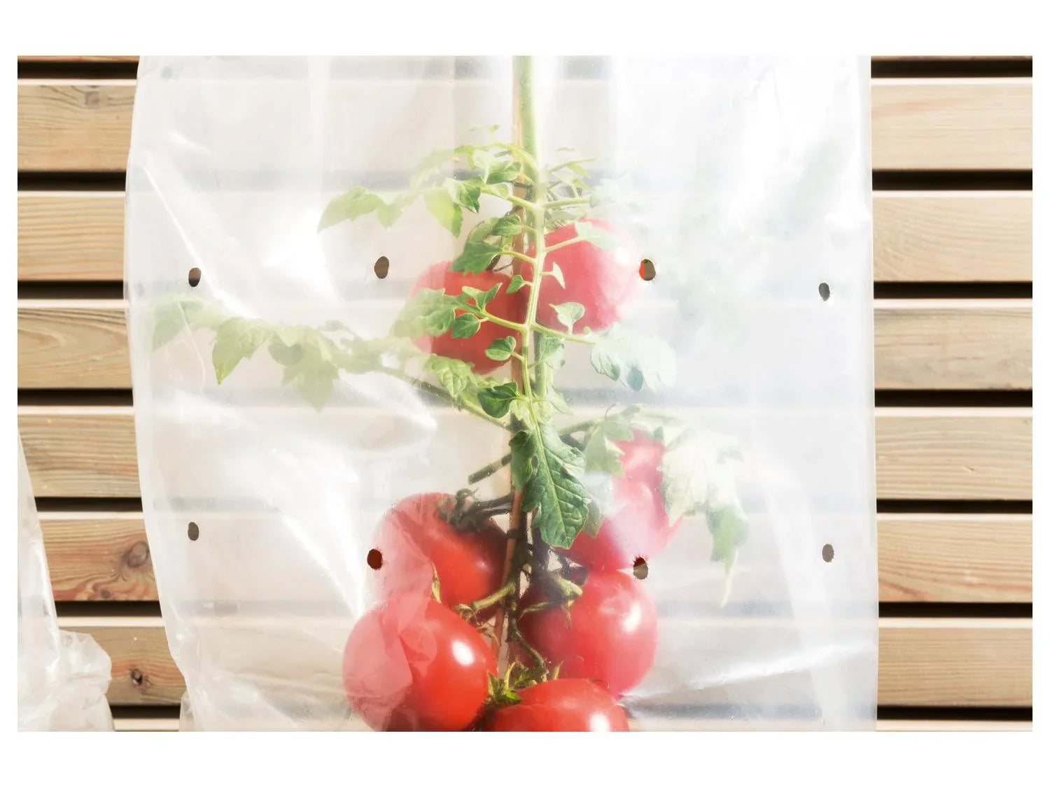 PARKSIDE Film pour serre de jardin