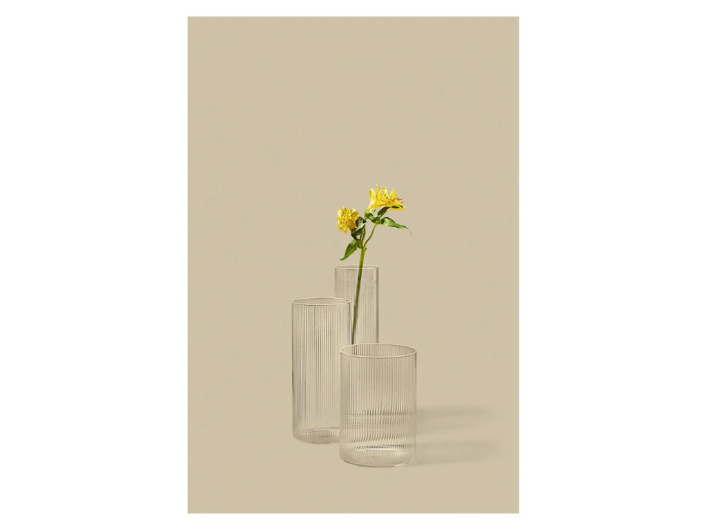 LIVARNO Set de 3 vases