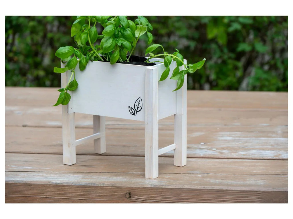 dobar Parterre surlev pour herbes, 24 x 14 x 24 cm